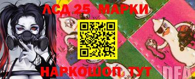 индика Кулебаки