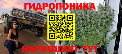 индика Кулебаки