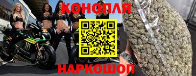индика Кулебаки